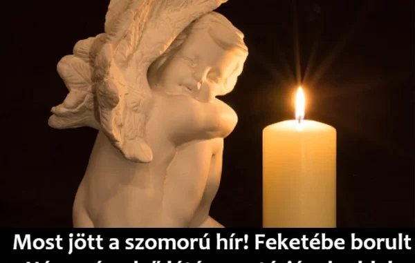 Feketebe-borult-a-Hazassag-elso-latasra-sztarjanak-oldala.webp