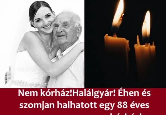88-eves-nagypapa-egy-magyar-korhazban-550x381