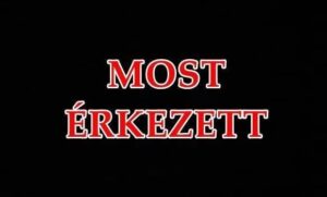 Szalagkorlátnak csapódott egy motoros, teljes útzár az M1-es autópályán