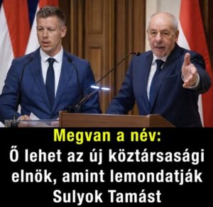 Megvan a név: Ő lehet az új köztársasági elnök, amint lemondatják Sulyok Tamást
