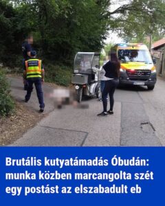 Több száz hozzászólás érkezett az eset kapcsán
