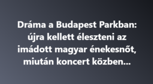 Dráma a Budapest Parkban: újra kellett éleszteni az imádott magyar énekesnőt, miután koncert közben…