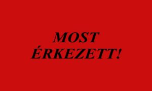 Börtönre ítélték a volt államfőt