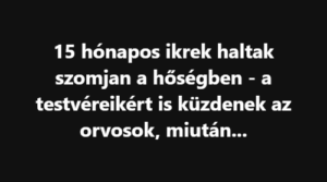 15 hónapos ikrek haltak szomjan a hőségben – a testvéreikért is küzdenek az orvosok, miután…