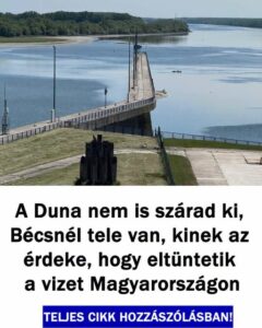 Teljes a döbbenet! Sajnos végül kiderült, miért nincs víz a Dunában: