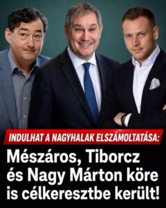 Indulhat a nagyhalak elszámoltatása: Mészáros, Tiborcz és Nagy Márton köre is célkeresztbe került