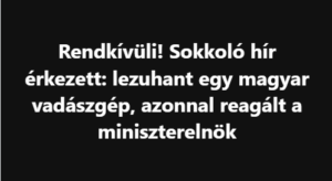 Rendkívüli! Sokkoló hír érkezett: lezuhant egy magyar vadászgép, azonnal reagált a miniszterelnök